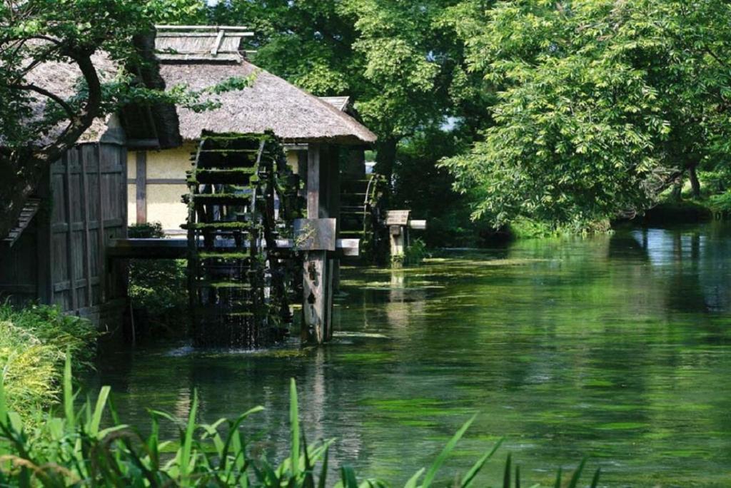金剛寺 宿坊 成穂院 Matsukawa 외부 사진